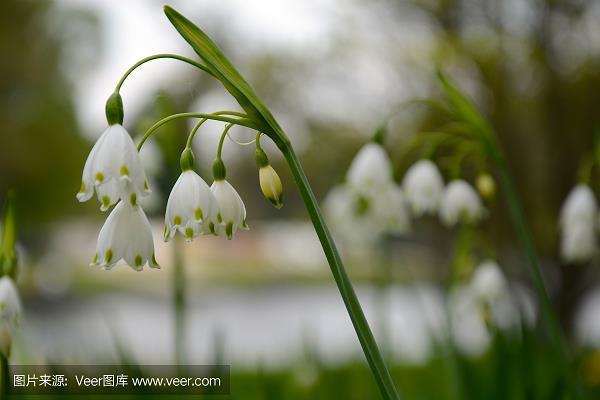 过眼烟云