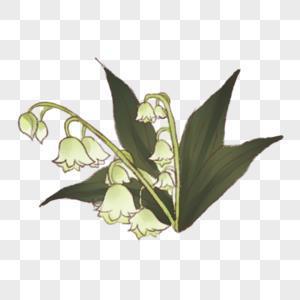 名下无虚