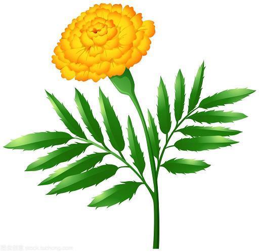 贪大求全