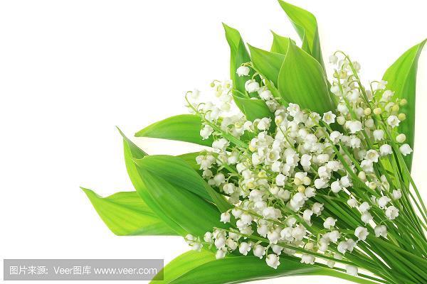 言听计行