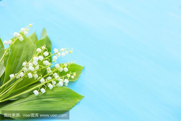 目无王法