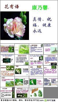 莼羹鲈脍