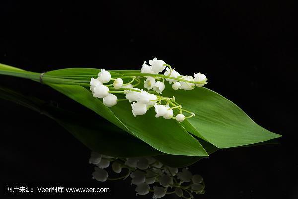 水穷山尽