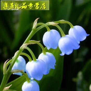 逐句逐字