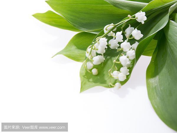知其一不知其二