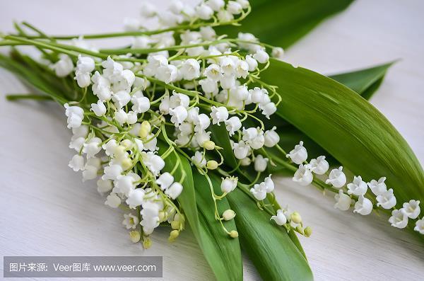 比手划脚