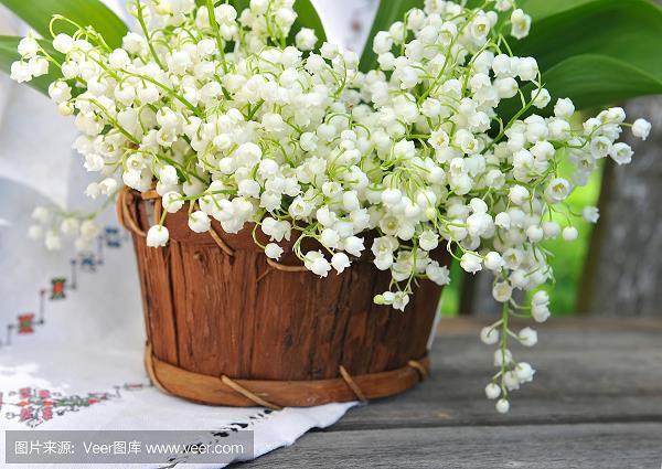 冥冥之志