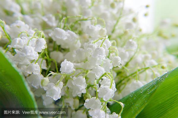 询于刍荛