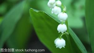 痛入骨髓