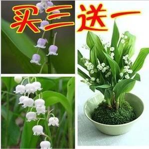 指腹割衿