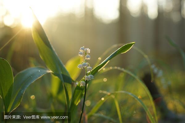 报纸创刊宣传标语