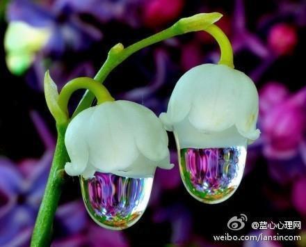 北门南牙