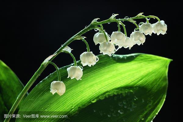 虚无恬惔