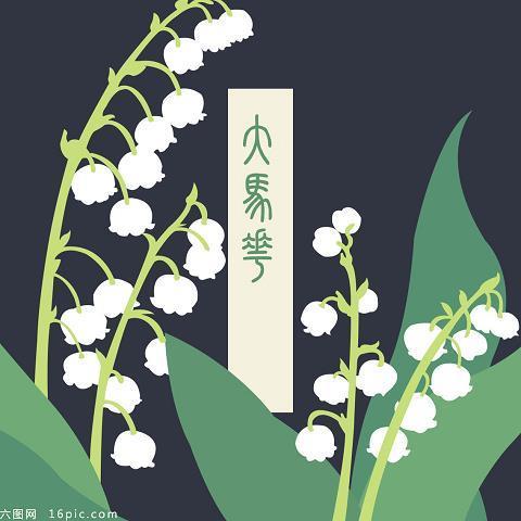 懵头转向