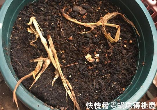 眼不转睛