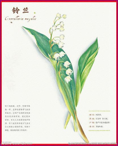 同归殊途