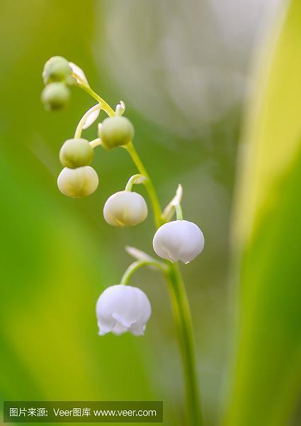 去芜存菁
