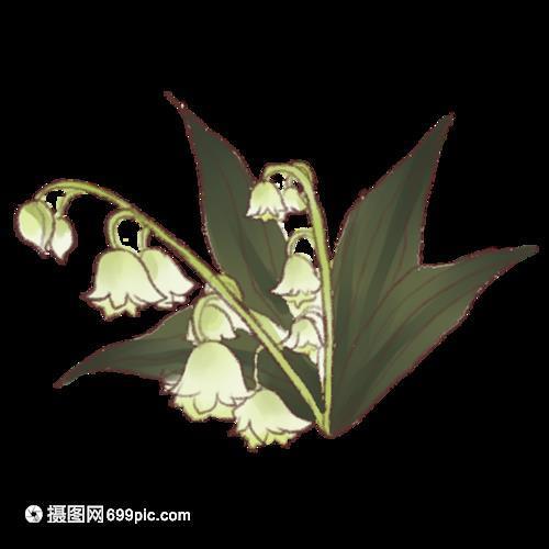 相伴十年唯美句子55条