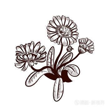 彼倡此和