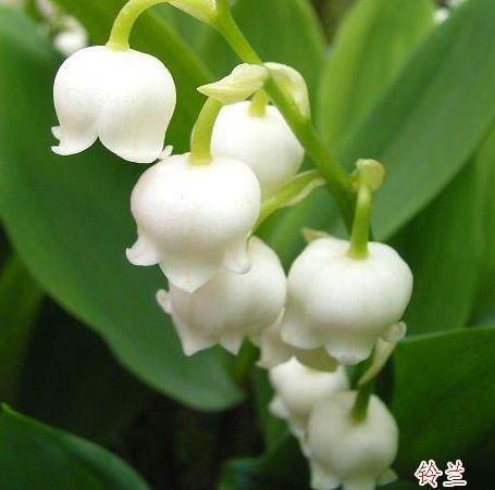 化为乌有