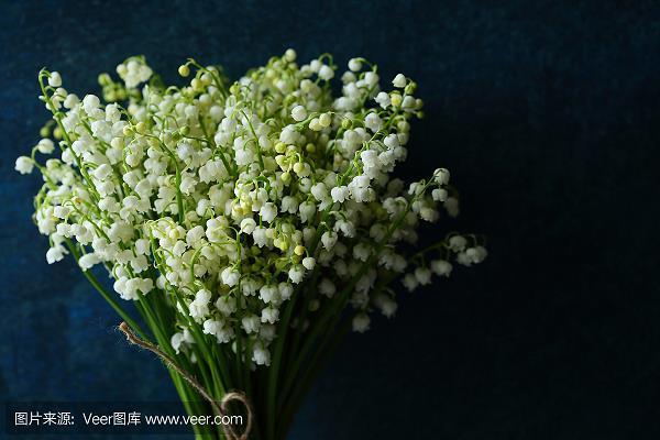 冰天雪窑
