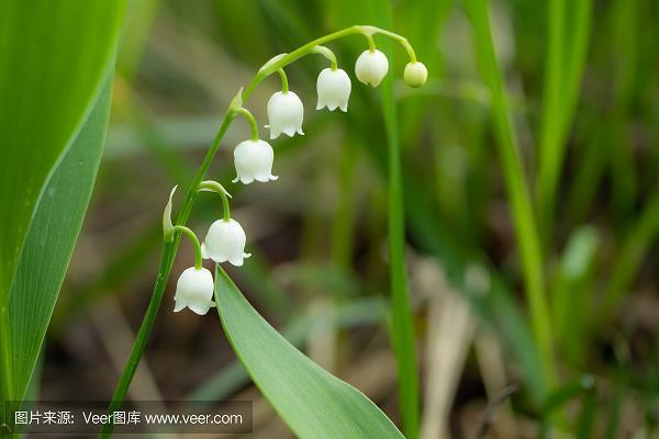 干干脆脆