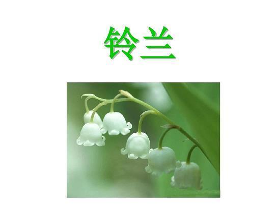 避瓜防李