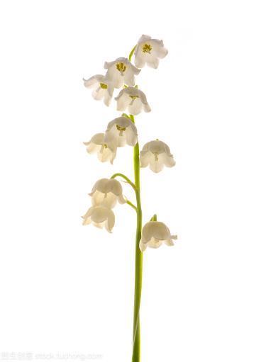有仙则名