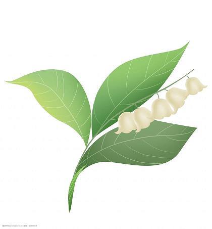 情人节唯美说说语录 情人节的句子说说40句