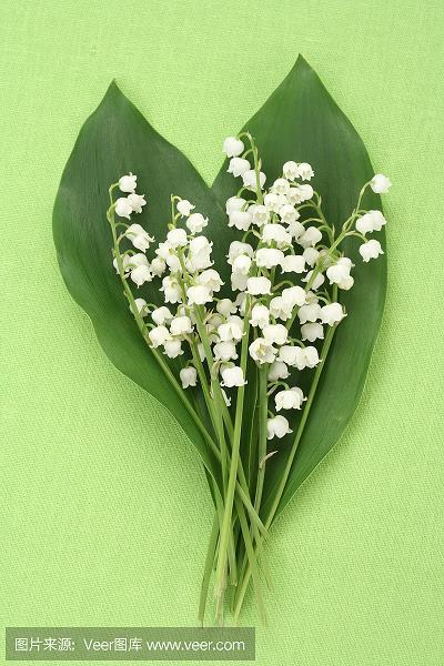折节礼士