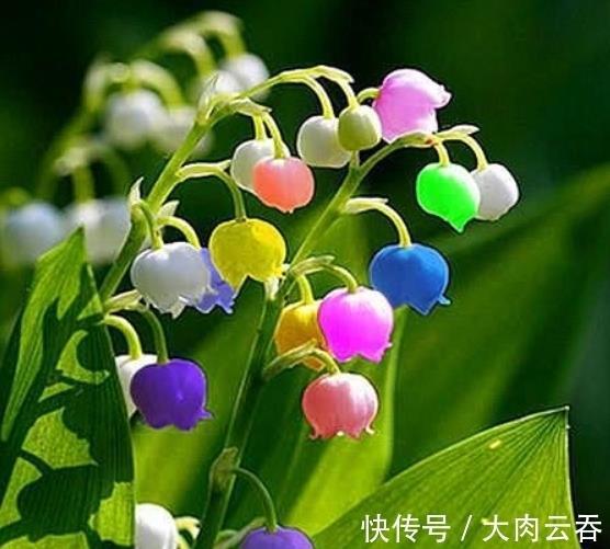 至圣至明