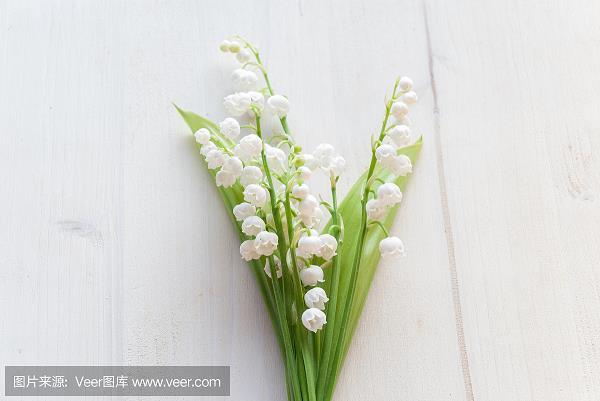 绷爬吊拷