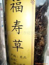 揎拳裸手