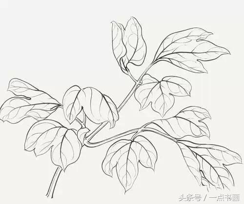澄清天下