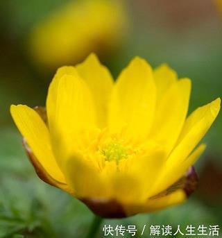 廓开大计