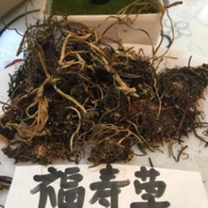 虚骄恃气