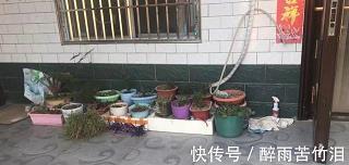 福与天齐