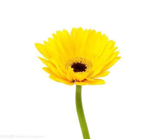 芟夷大难