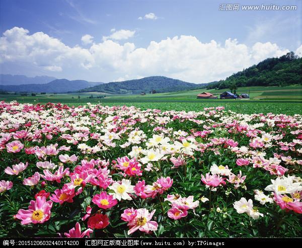 头昏目眩