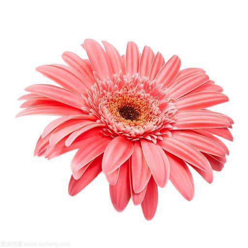 如花似锦