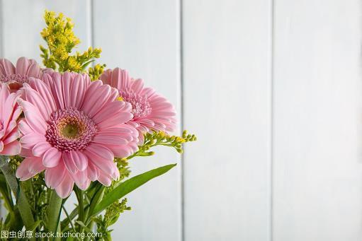 分毫析厘