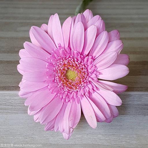 花遮柳隐