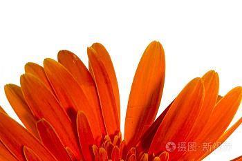 贪官蠹役