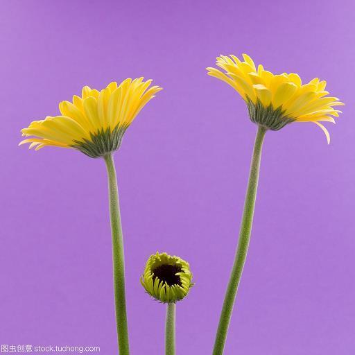 右手画圆，左手画方