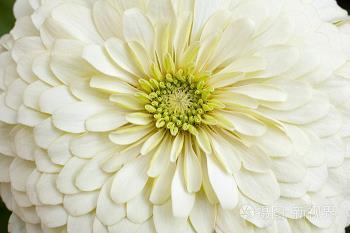 说长话短