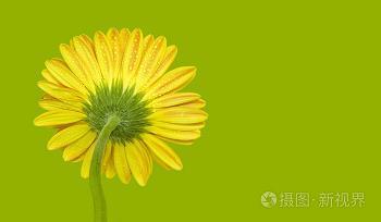 送抱推襟