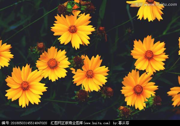 借风使船