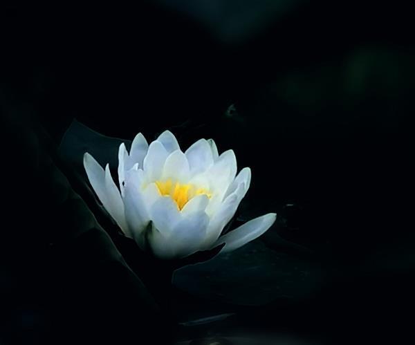 二话不说