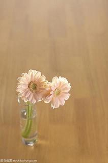 适得其反