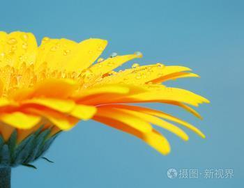 见怪非怪，其怪自害